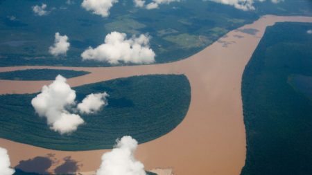 El Amazonas pierde capacidad de absorción de CO2