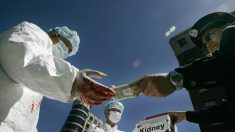 Informe filtrado revela «negligencia sistemática» en sistema de trasplante de órganos de China: experto