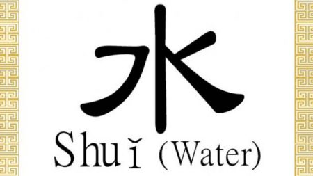 Shuǐ 水: carácter chino para agua