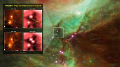 Nacimiento de una estrella en Orión entusiasma a astrónomos