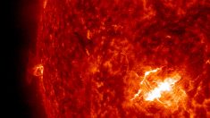 Astrónomos dicen que encontraron al gemelo del Sol