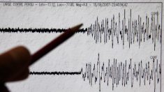 Sismo de magnitud 5,5 en la escala de Richter sacude el sur de México
