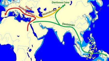 Confirman genes denisovanos en americanos y euroasiáticos del este