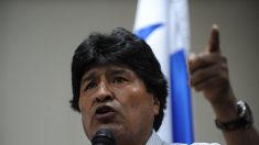 Tribunal Electoral pide a Evo Morales respetar normas sobre referendo