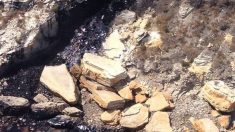 Desastre ambiental en playas de California por derrame de petróleo frente Santa Bárbara