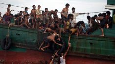 Se agrava la crisis en el Sudeste Asiático, con miles de inmigrantes a la deriva en el mar