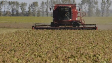 Los oscuros intereses de China sobre las tierras argentinas