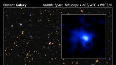 Descubren masiva galaxia lejana de más de 13 mil millones de años