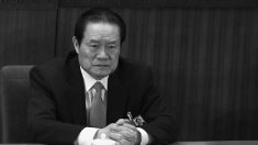 Después de la sentencia a Zhou Yongkang ¿Quién es el siguiente?