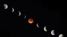 Las fechas de las Lunas de Sangre para 2014 y 2015, y dónde se verá el eclipse