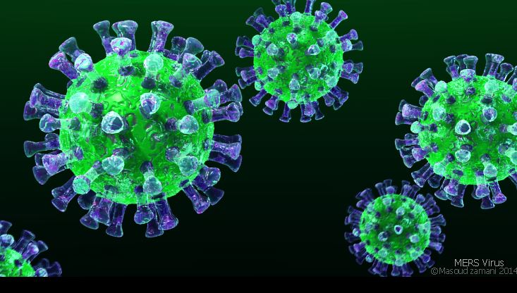 Coronavirus del Sindrome Respiratorio del Medio Oriente MERS en imagen 3D