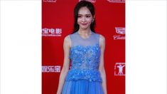 La actriz china Tiffany Tang usa un vestido falsificado de Elie Saab