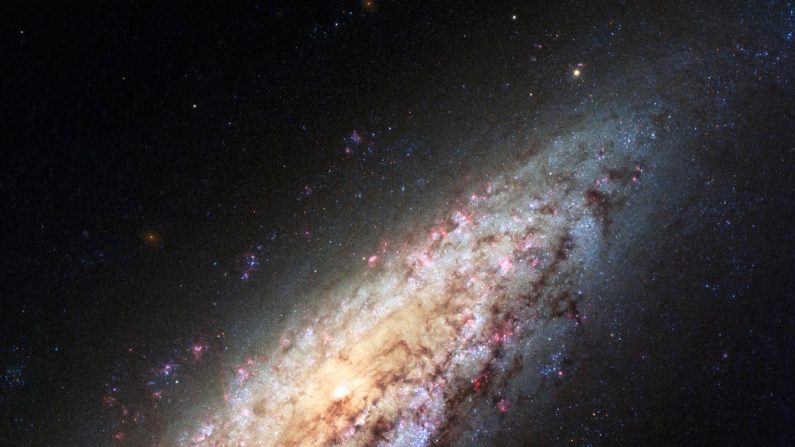 Galaxia solitaria se revela suspendida al borde del espacio del Universo conocido como "vacío total". (Hubble/  NASA, ESA, D. Calzetti (Universidad de Massachusetts), H. Ford (Universidad Johns Hopkins)
