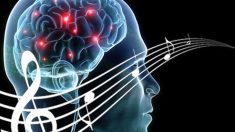 Descubren que la música tiene un área cerebral específica de almacenaje que el alzheimer no logra dañar