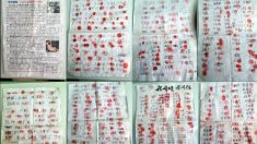 «Peor que el fascismo»: Decenas de miles de firmas en China contra la sustracción de órganos