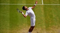 Djokovic no vendrá a la Argentina por el duelo de Copa Davis