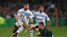 Rugby Championship 2015: buen desempeño de «Los Pumas» tras victoria ante Sudáfrica