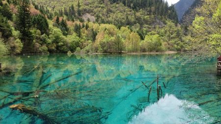 Lao Zi y su enseñanza sobre el agua: «La suavidad puede vencer la fuerza»