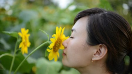 7 flores de la medicina china para mejorar tu salud y tu piel