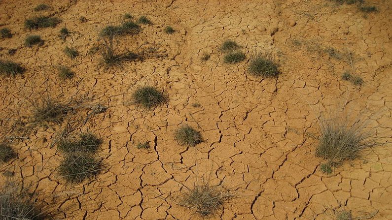 Sequía. (Wikimedia Commons)