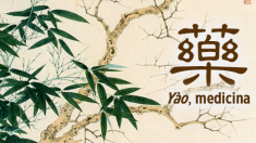 Naturaleza, música alegría: el profundo significado del cárcter chino para medicina