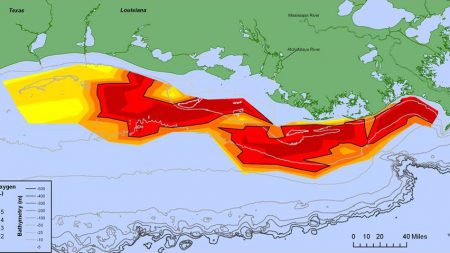 Zona muerta del Golfo era alarmante en 2014, en 2015 es 30% peor