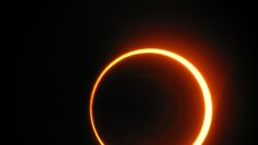 Eclipse de Sol parcial de este domingo se podrá apreciar en la Antártida y al sur de África