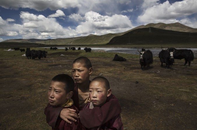  Jóvenes monjes tibetanos novicios en las praderas de un campo nómada, el 14 de julio de 2015, en la meseta tibetana, condado de Madou, Qinghai, China. (Kevin Frayer/Getty Images)