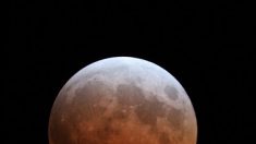 Astrónomos entregan consejos para observar Eclipse y Súper Luna del 27 de septiembre