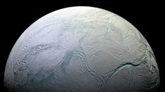 La NASA halla evidencias de habitabilidad en una luna de Saturno