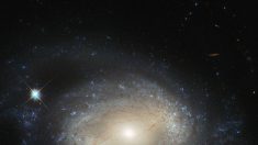 Hubble detecta agujero negro masivo escondido en una galaxia espiral