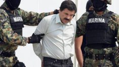 “El Chapo” Guzmán fue recapturado, afirmó Peña Nieto