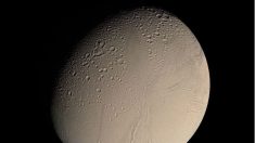 Busca signos de vida en Encélado, la luna de Saturno
