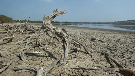 “El Niño” puede ser el peor de las últimas décadas, advierten especialistas