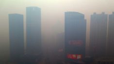 El smog en China es 50 veces superior a lo soportable (Fotos)