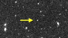 V774104, el objeto más lejano observado en el sistema solar