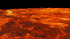 Superficie de Venus carece de actividad tectónica