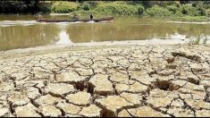 Fenómeno El Niño azota a Guatemala