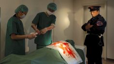 Noticias internacionales de hoy, lo más destacado: EE.UU. condena sustracción de órganos en China
