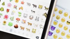 Cuidado, utilizar demasiados emojis puede inutilizar tu WhatsApp