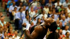Serena Williams y Novak Djokovic son  los jugadores del año