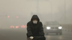 Contaminación del aire: un problema que afecta a toda la humanidad