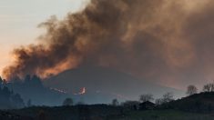 Colombia: 20 departamentos en alerta roja por incendios forestales