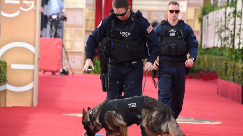 Perro entrenado prueba primero comida de "El Chapo" en busca de veneno. Imagen ilustrativa. (ROBYN BECK/AFP/Getty Images)