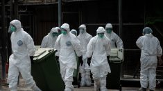 Reportan 14 muertos a causa de gripe AH1N1 en Costa Rica