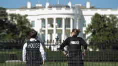 Alarma por intruso que cruzó zona de seguridad en la Casa Blanca