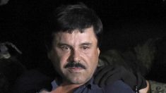 “El Chapo” cayó por querer una película autobiográfica