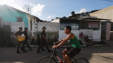 Ejército de Brasil combatirá el Aedes aegypti «casa por casa»