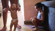 Virus Zika: México reporta 183 casos y espera aumento por calor y lluvias