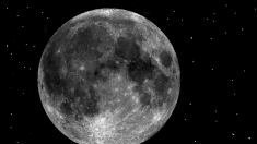 La Luna ¿descomunal proyecto artificial?